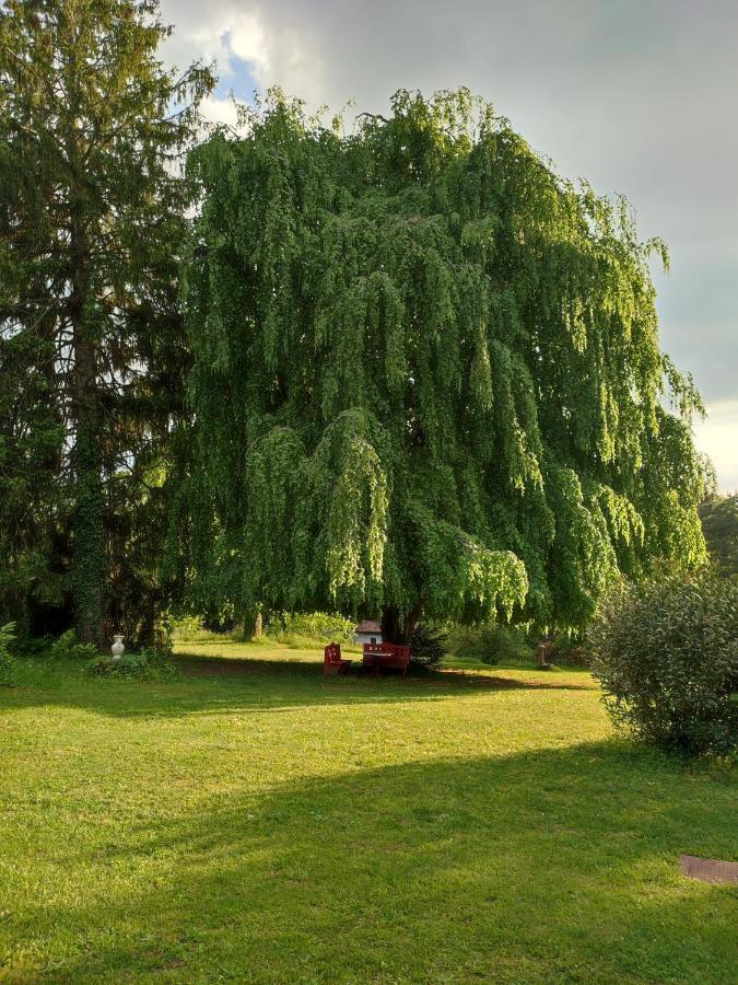 Il Vecchio Faggio Hotell Rodero Exteriör bild